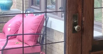 Tidy entrance to a home with a dark wooden and glass door.