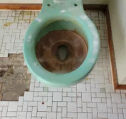 Green toilet incredibly dirty with a white cleaning powder sitting on top.