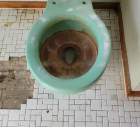 Green toilet incredibly dirty with a white cleaning powder sitting on top.