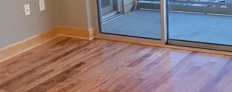 Deep cleaned empty living room in an apartment downtown Milwaukee with a scenic view.