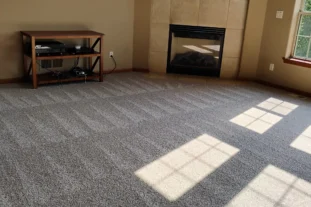 Satisfying vacuum lines on large gray living room carpet with a sunny view.