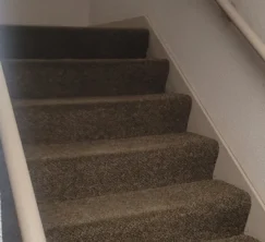 Clean stairs in a medium sized commercial building after routine vacuum.