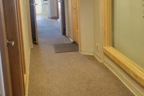 Clean office hallway after a routine vacuum.